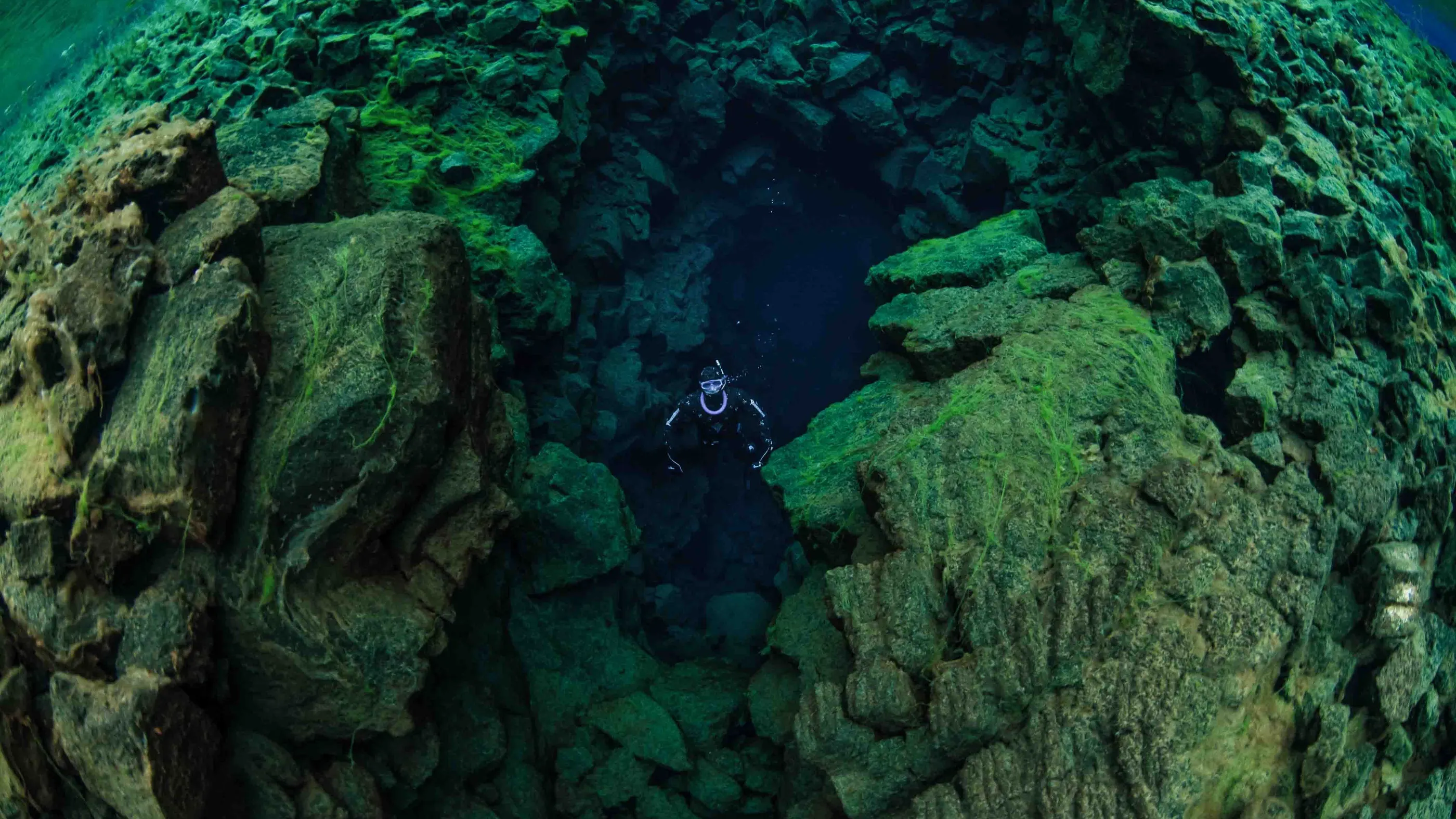 A solo free diver looks towards the surface from the depths of Silfra.