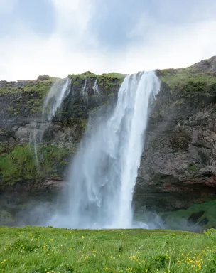 A waterfall blows sideways in Iceland's strong wind on a summer day, with bright green grass in the foreground.
