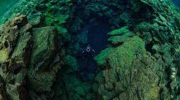 Freediving Between the Continents