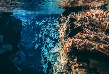 The sunlight illuminates the clear blue waters beneath the surface in the narrow Silfra fissure, showing off high visibility conditions.