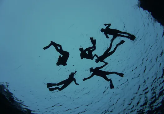 Dark silhouettes of six snorkelers swimming on the surface of Silfra's blue water from below.