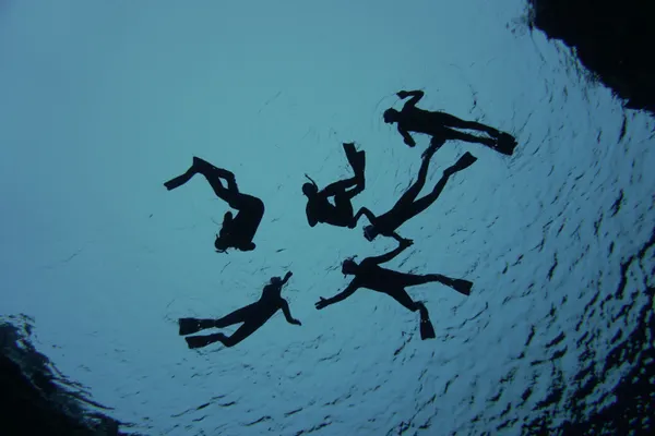 Dark silhouettes of six snorkelers swimming on the surface of Silfra's blue water from below.