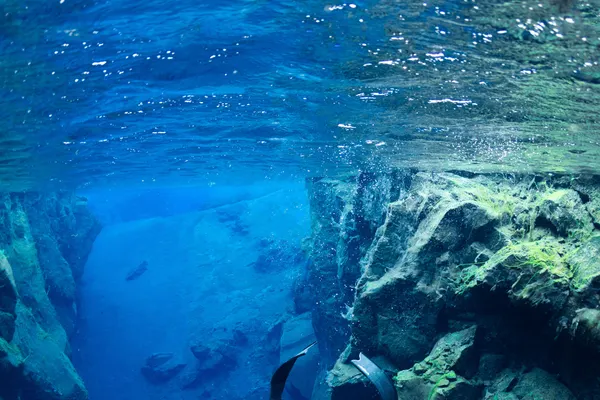 A freediver swimming down into a deep fissure with a sandy bottom.