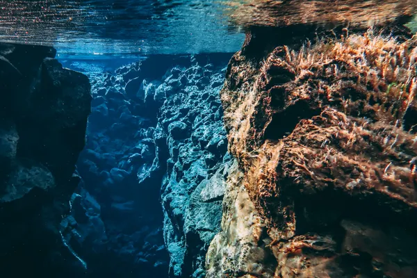 The sunlight illuminates the clear blue waters beneath the surface in the narrow Silfra fissure, showing off high visibility conditions.