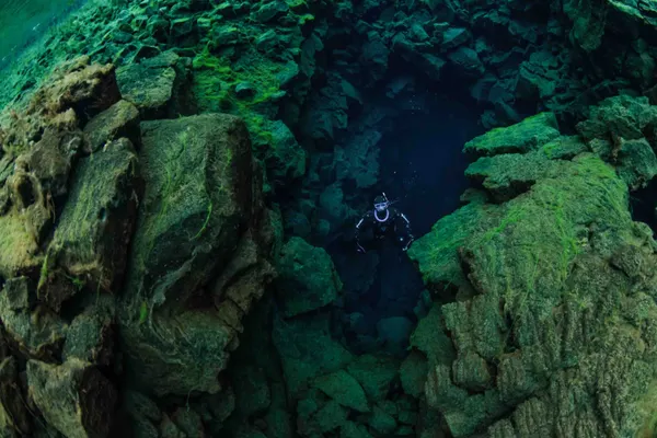 A solo free diver looks towards the surface from the depths of Silfra.