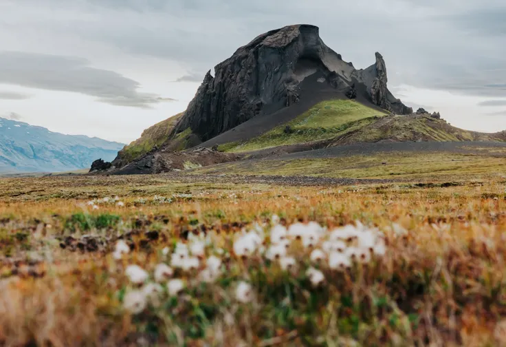 A distinct rugged, Rocky Mountain stands alone among green moss and orange grass, with tiny white flowers in the foreground.