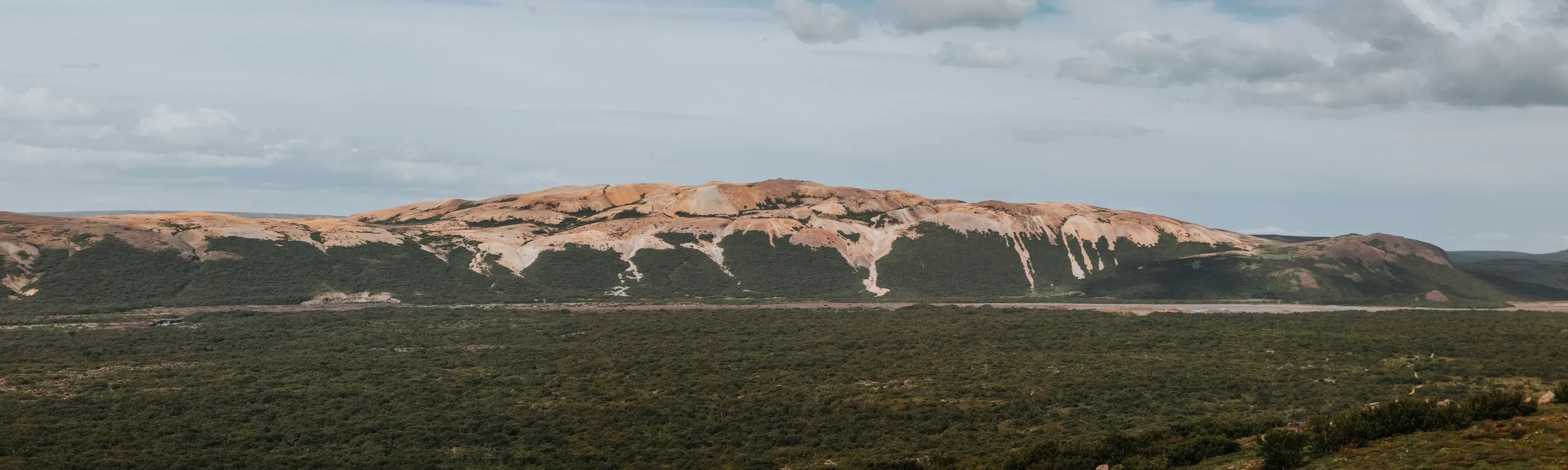 silvercircle_import_imm_Ryolite Mountains Panorama sm.jpg