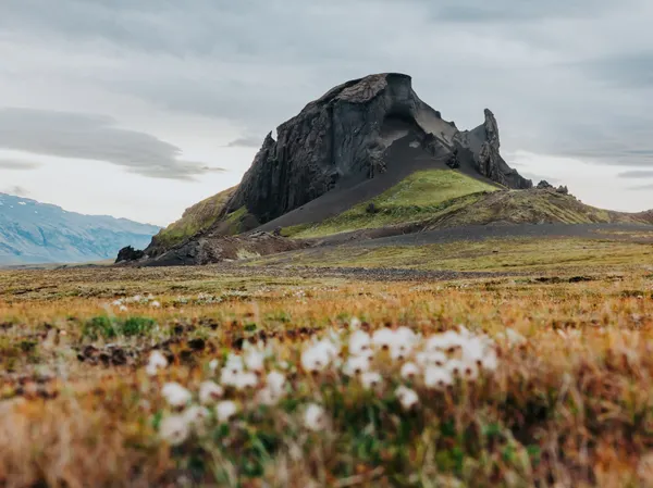 A distinct rugged, Rocky Mountain stands alone among green moss and orange grass, with tiny white flowers in the foreground.