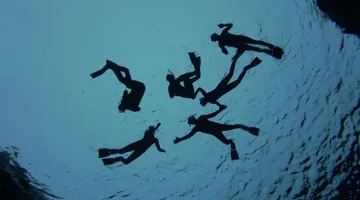 Freediving Between the Continents