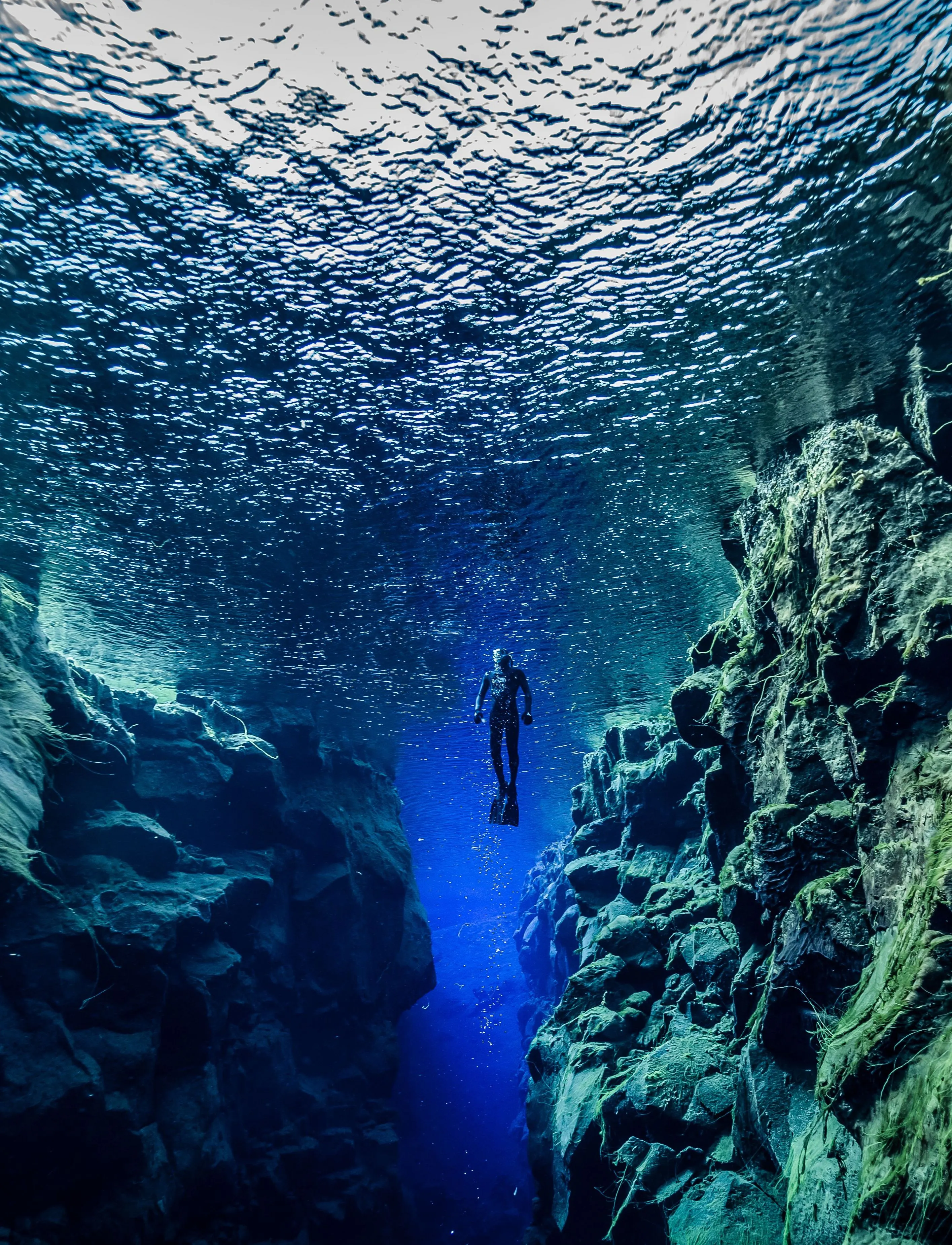 Snorkeler in an upright position nears the sparkling sun-lit surface of silfra, between two rock walls which narrow as the fissure gets deeper.