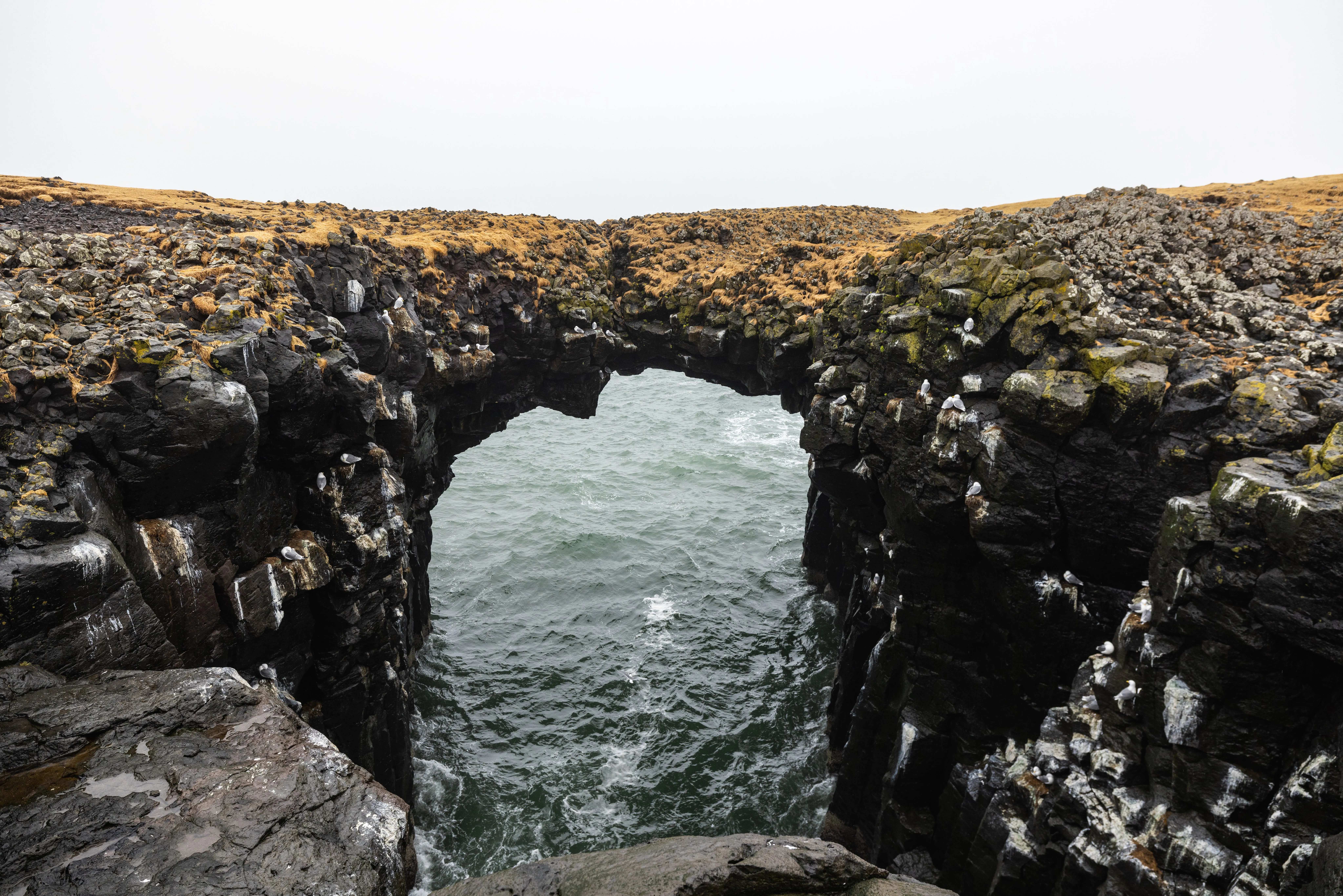 snæfellsnes_import_imm_GraatjeWeber_Layover_SnaeffelsnessPeninsula42.jpg