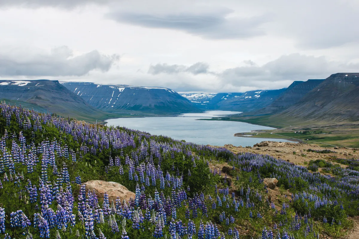 West Fjords